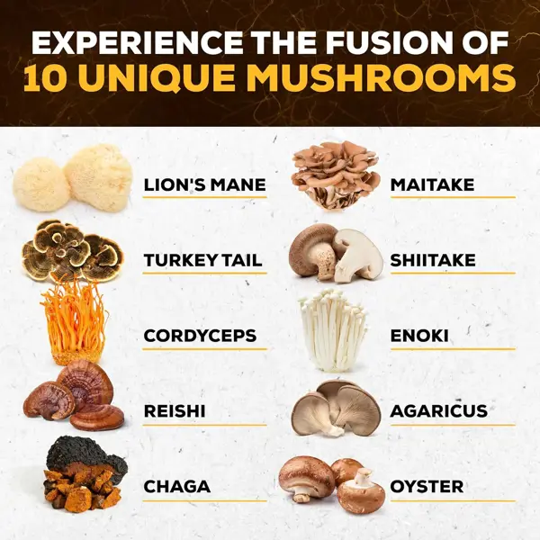 Novo Blends 10in1 Mushroom Complex 60 Pcs