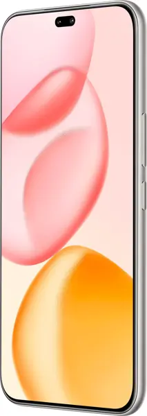 Honor 400 Pro Grey Dual Sim Esim 12Gb 256GbDNP-NX9